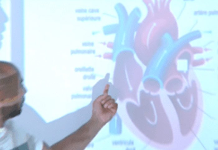 lutter pathologies formation